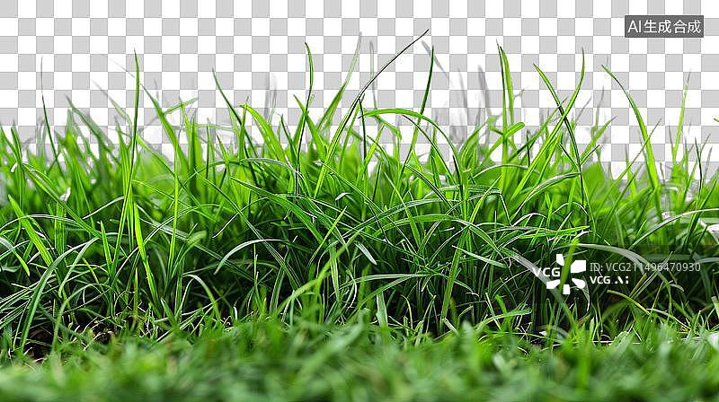【AI数字艺术】免扣草坪图片素材