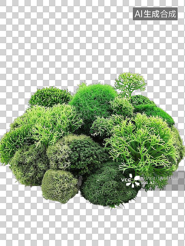 【AI数字艺术】苔藓 moss图片素材