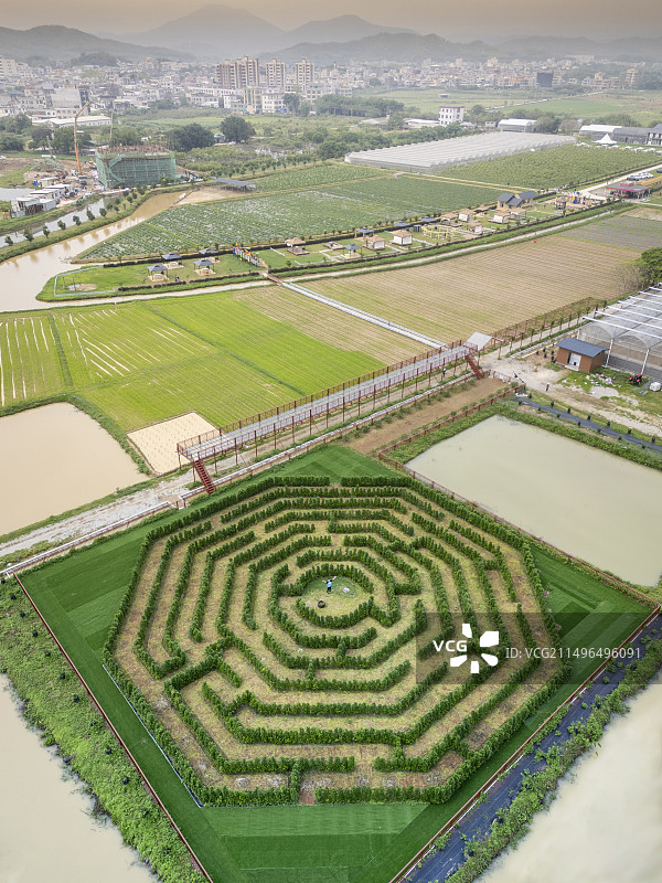 田野上的八卦阵图片素材