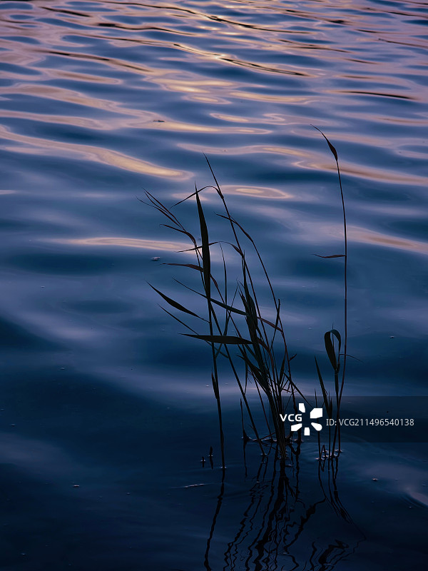 落日余晖图片素材