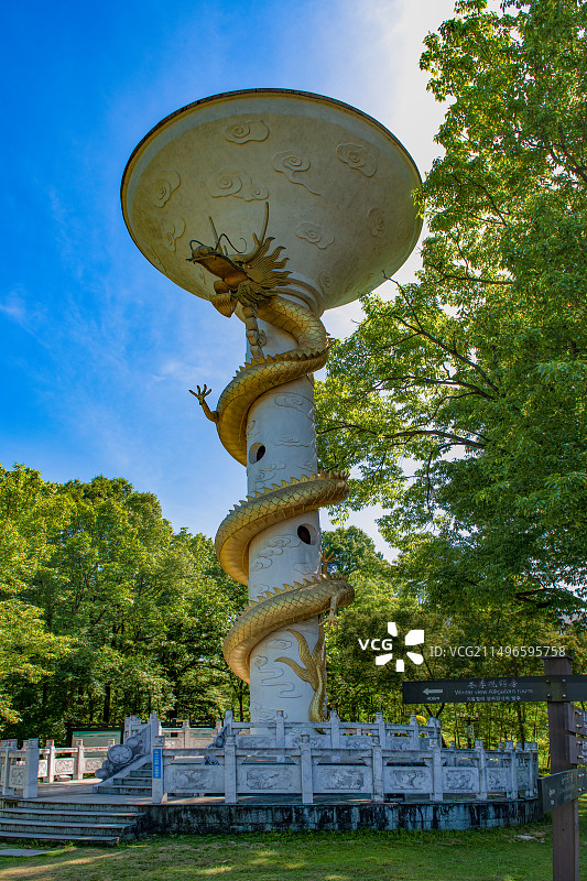 鳄鱼湖内的盘龙柱图片素材