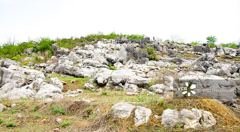 广西桂林灌阳县3月的石林桃花图片素材