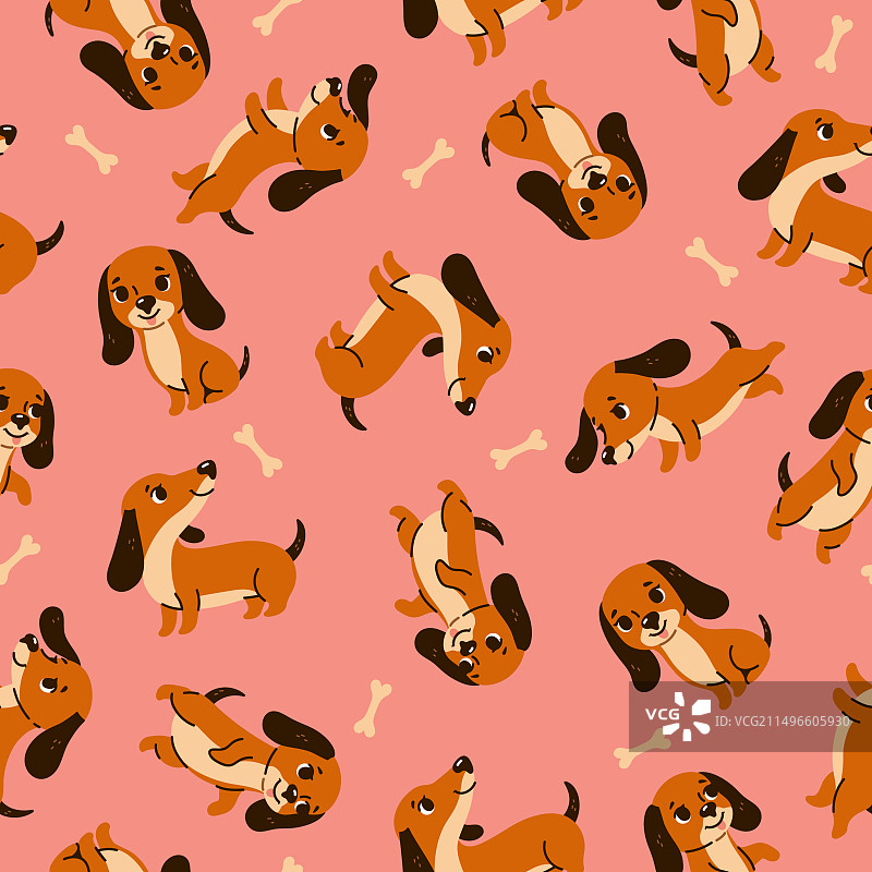 可爱腊肠犬与骨头无缝图案图片素材