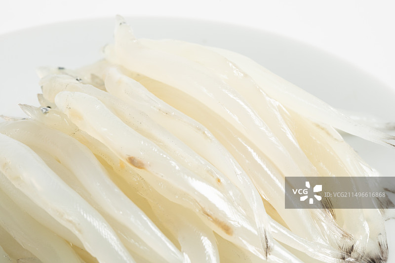 白色背景上的太湖银鱼图片素材