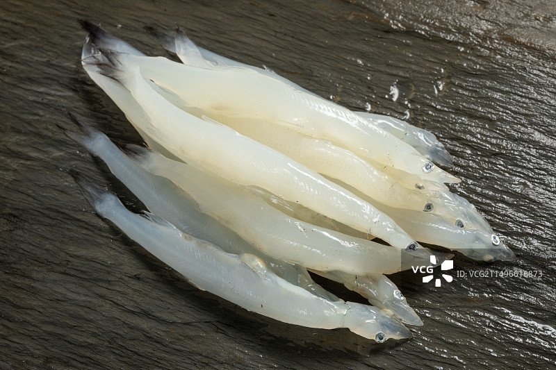 青石板上的太湖银鱼图片素材