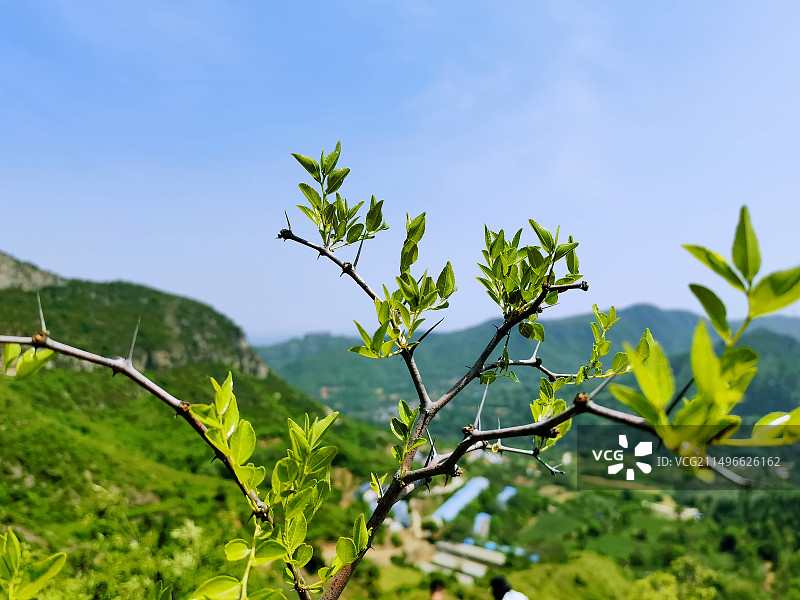 于魏长城高山看高山连绵树木丛生图片素材