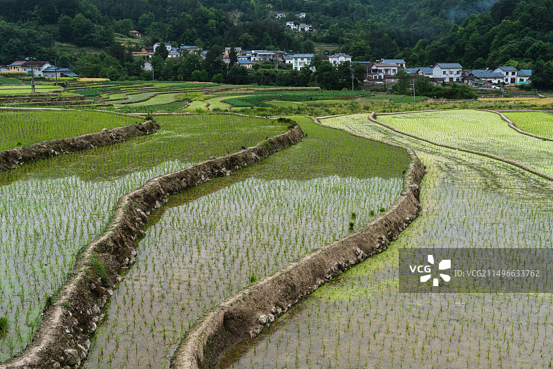 秭归县石柱村田园风光图片素材