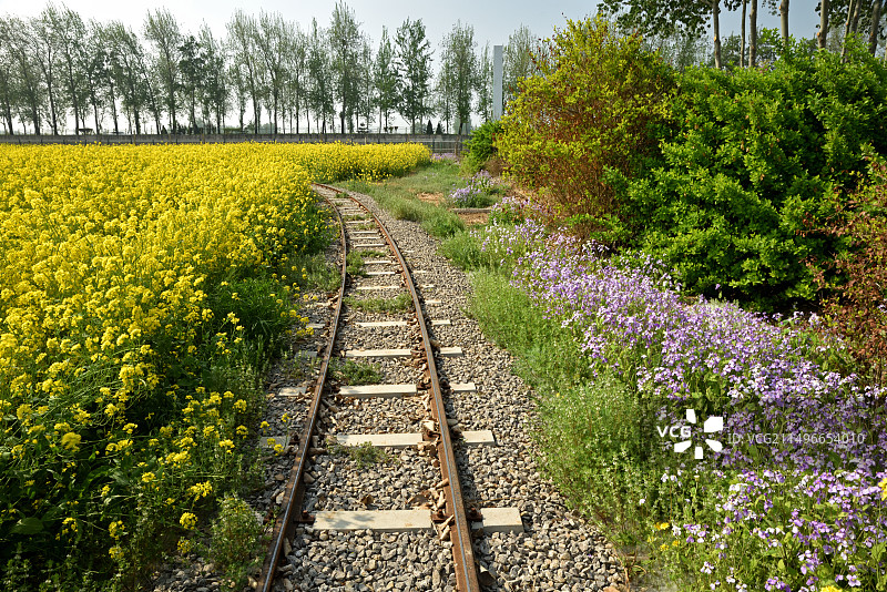 河北省晋州市周家庄农业观光园图片素材