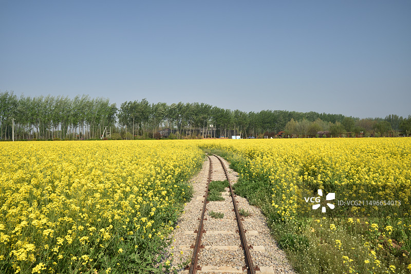 河北省晋州市周家庄农业观光园图片素材