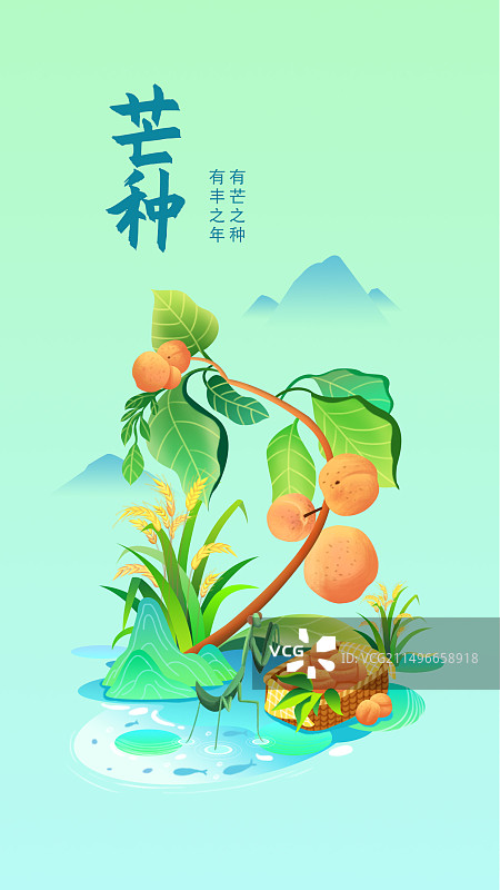 芒种节气插画海报图片素材