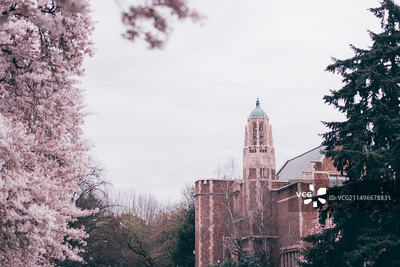 美国华盛顿大学风光图片素材