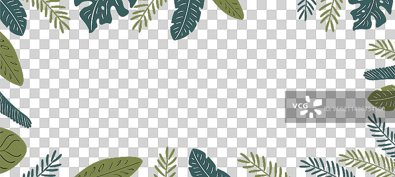 热带棕榈树叶方形框架图片素材