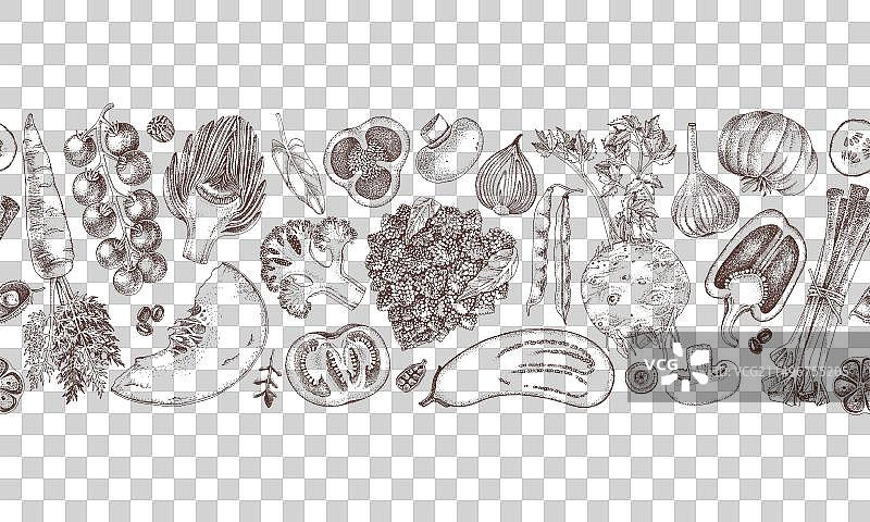 手绘新鲜蔬菜合集图片素材