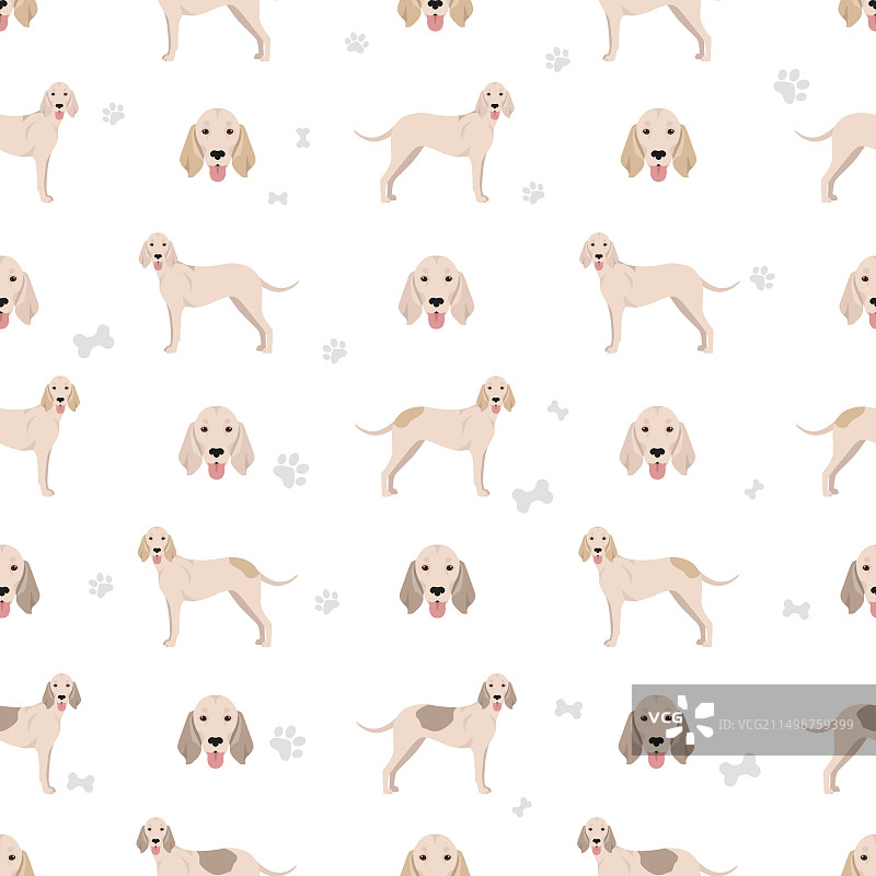 比利犬无缝图案图片素材