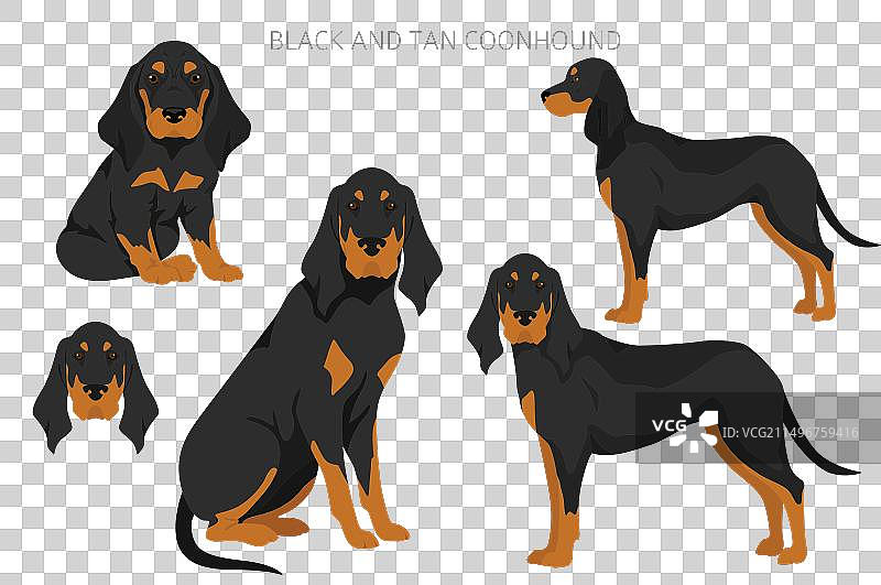 不同毛色的黑褐色浣熊猎犬剪贴画图片素材