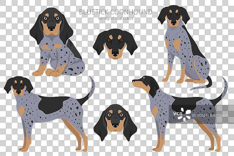 不同毛色的蓝色浣熊猎犬剪贴画图片素材