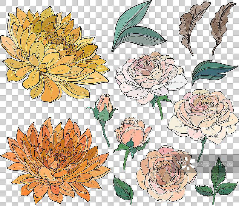 复古玫瑰菊花叶子图片素材