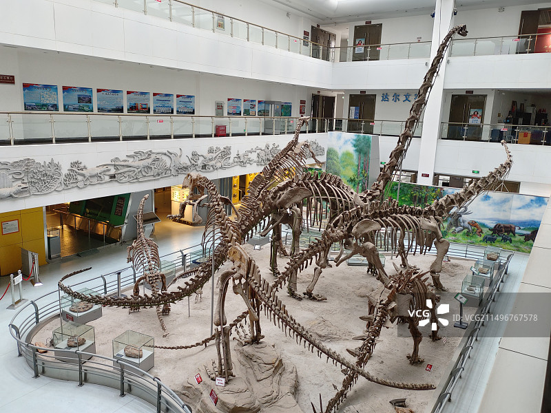 武汉市中国地质大学逸夫博物馆图片素材