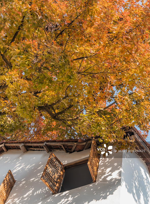 杭州临安指南村秋季图片素材