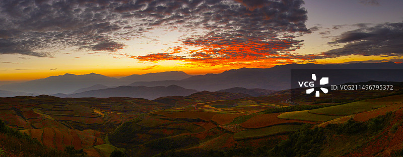 “东川红土地”位于昆明市东川区，主要景点在海拔1800至2600之间图片素材