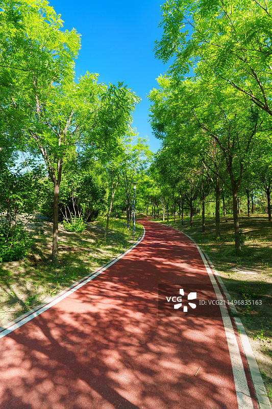 公园中弯曲的红色的塑胶跑道图片素材