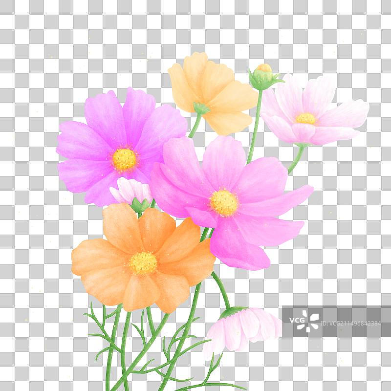 鲜花格桑花元素插画图片素材