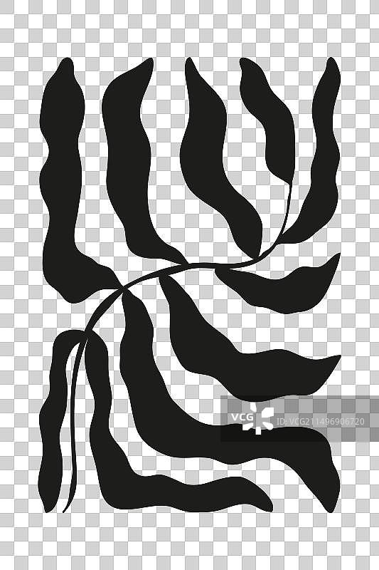 白色背景上的单色蜿蜒树枝图片素材