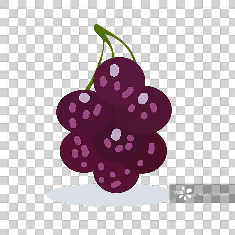 巨型黑葡萄图片素材