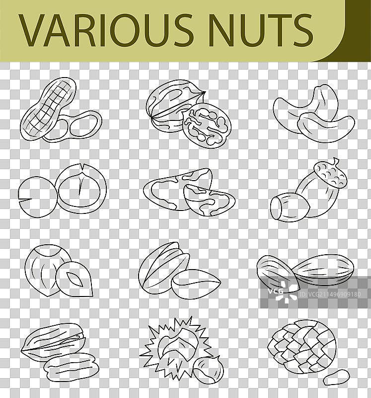 健康饮食概念：多样食材图片素材