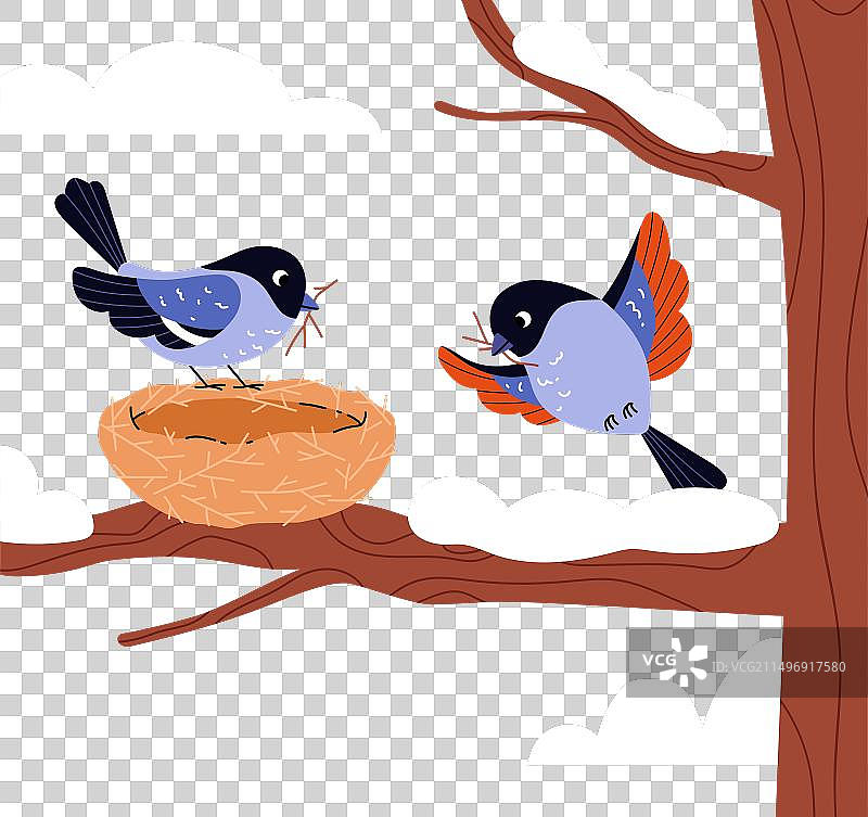 鸟类筑巢图片素材