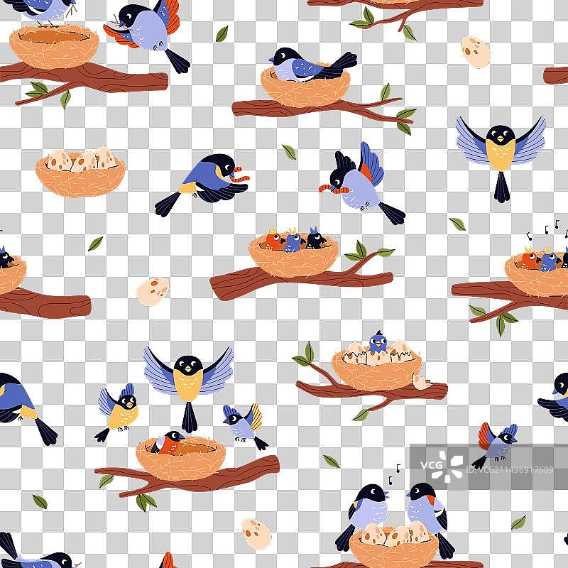 鸟类生命周期无缝图案图片素材