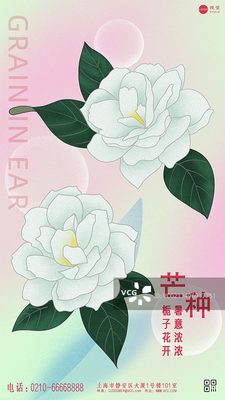 二十四节气芒种海报设计模版图片素材