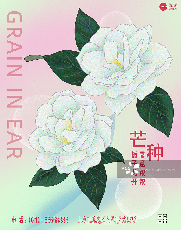 二十四节气芒种海报设计模版图片素材