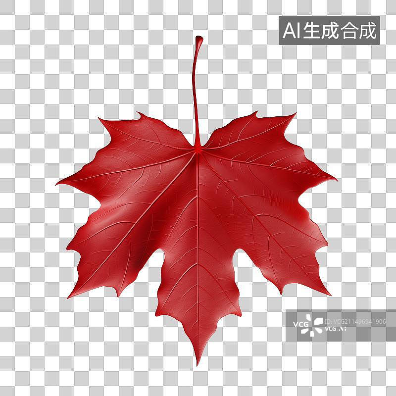 【AI数字艺术】一片红色的枫叶图片素材