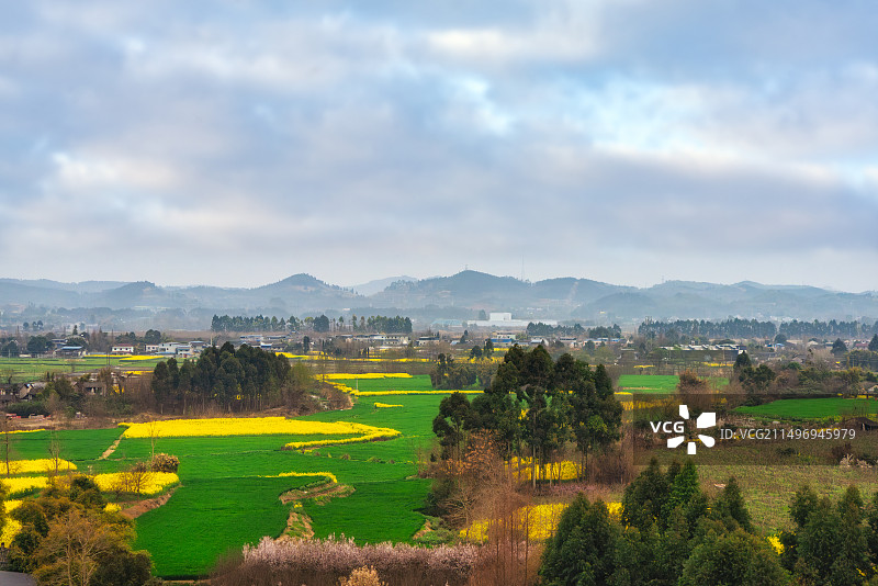 中国四川德阳成都平原春季油菜花田园风光图片素材