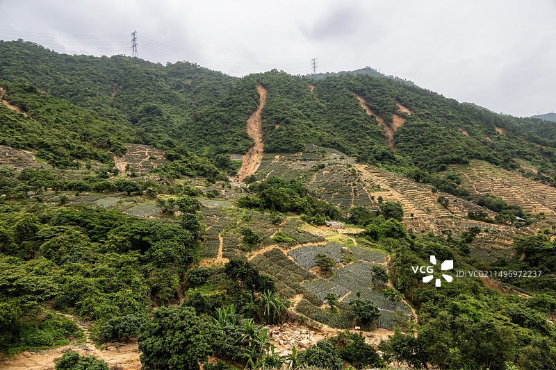 中山市神湾菠萝的山被大雨冲刷造成泥石流图片素材