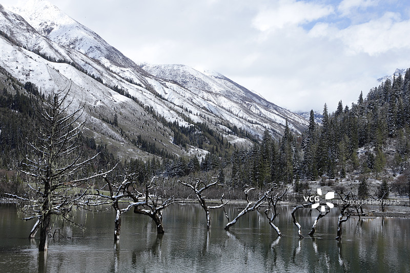 四姑娘山雪景图片素材