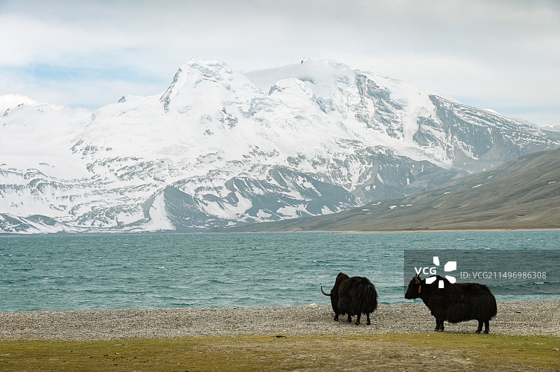 干城章嘉峰图片素材