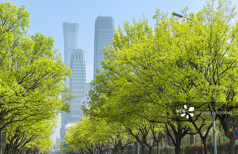 北京光华路道路树绿色天空CBD国贸大厦中信大厦北京中信大厦图片素材