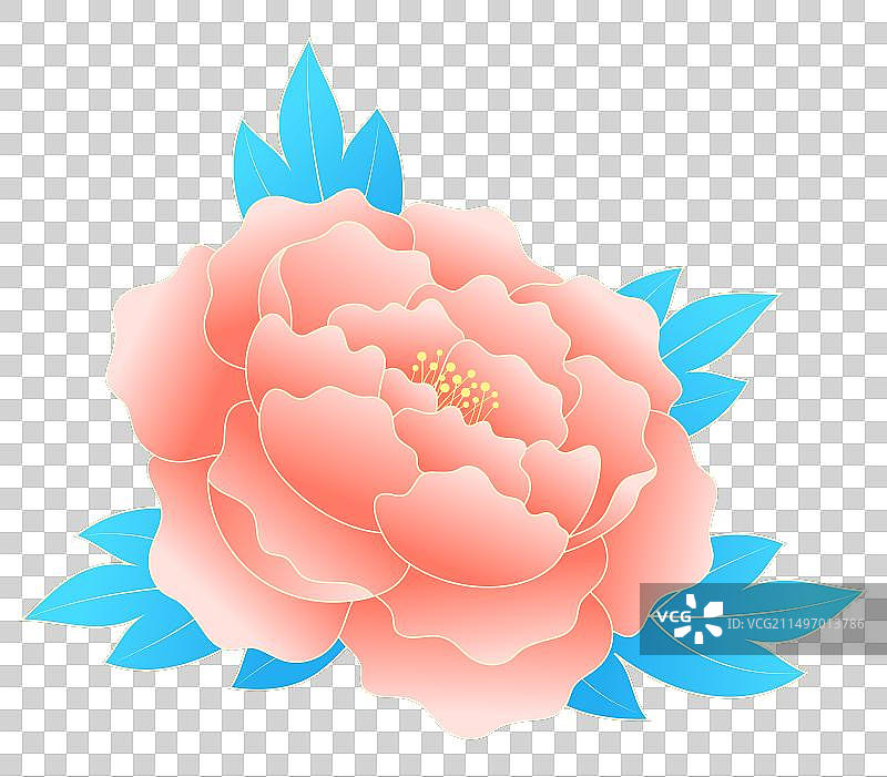 中国牡丹花矢量元素插画图片素材