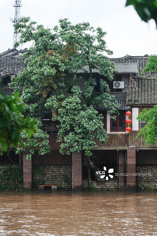雨天的邛崃市平乐古镇古建筑河流图片素材
