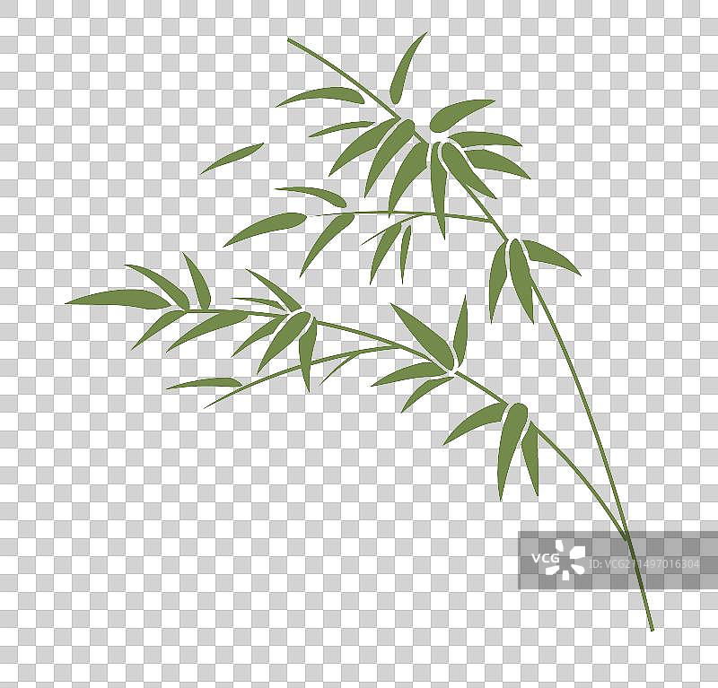 竹枝竹叶元素图片素材