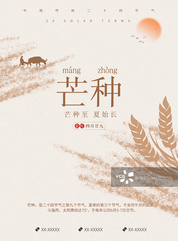 创意二十四节气极简风格芒种节气海报展板图片素材