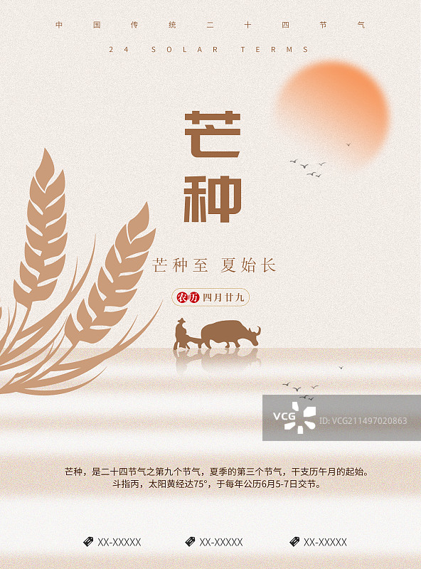 创意二十四节气极简风格芒种节气海报展板图片素材