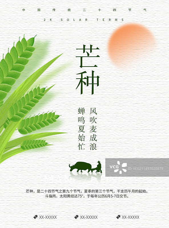 创意二十四节气极简风格芒种节气海报展板图片素材
