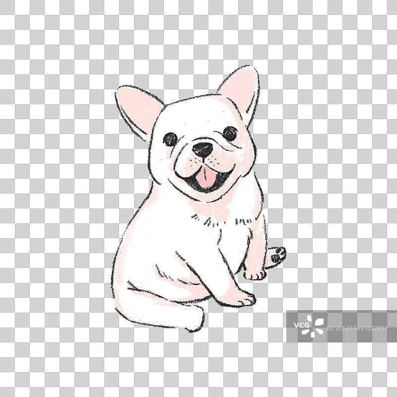 可爱狗狗-斗牛犬图片素材