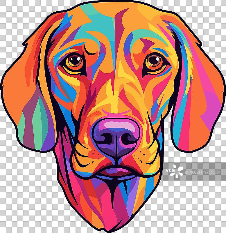 匈牙利维兹拉犬品种彩色卡通图片素材