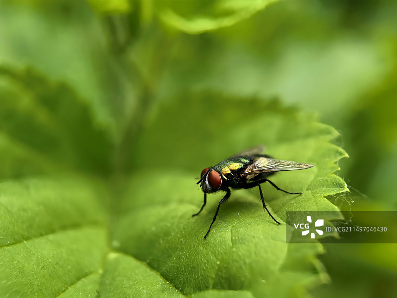 晨光生物图片素材