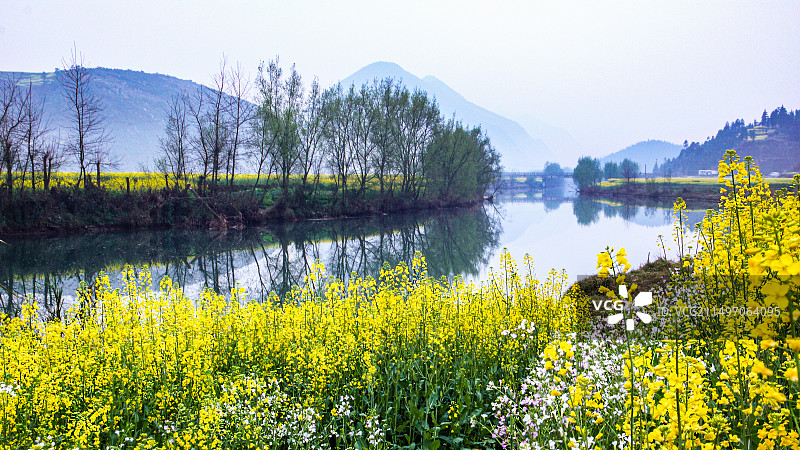 罗平油菜花~是云南曲靖罗平县打造的人造景观，主要是拍油菜花，玩金鸡峰、牛街、多依河及九龙瀑。图片素材