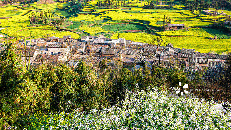 罗平油菜花~是云南曲靖罗平县打造的人造景观，主要是拍油菜花，玩金鸡峰、牛街、多依河及九龙瀑。图片素材